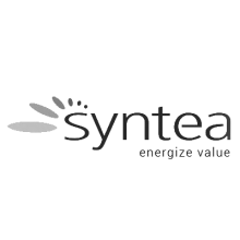 logosyntea.png